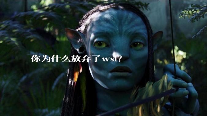 你为什么放弃了wsl？