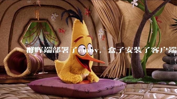 群晖端部署了emby，盒子安装了客户端播放蓝光电影为什么不能显示影片自带字幕？
