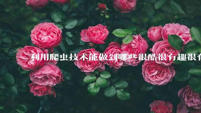 利用爬虫技术能做到哪些很酷很有趣很有用的事情？