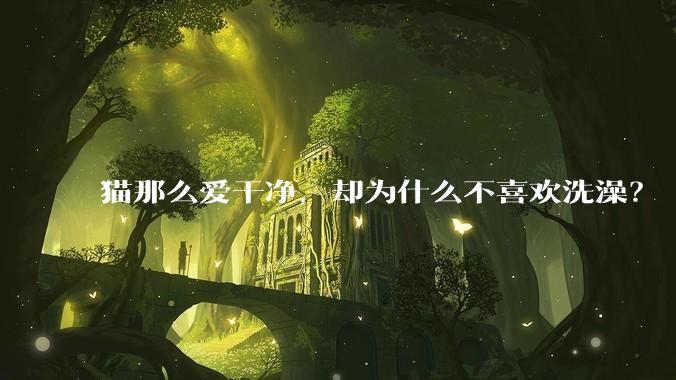 猫那么爱干净，却为什么不喜欢洗澡？